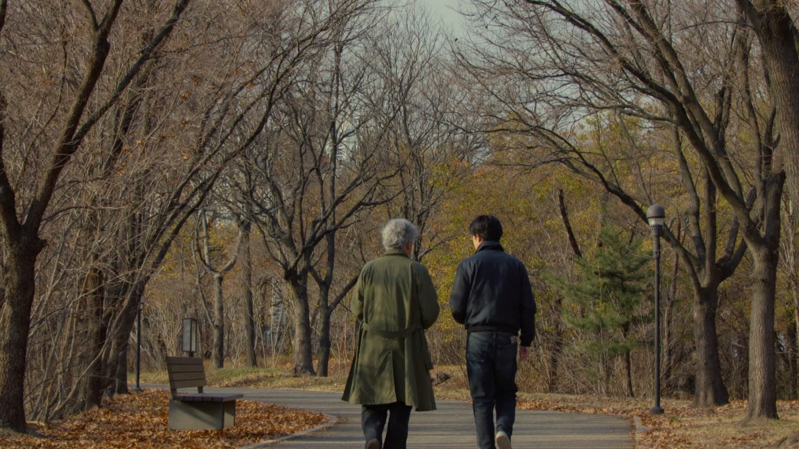 Seen from behind, an older person with grey hair and a younger person walking side by side along a tree-lined park path in late autumn, heads turned slightly toward each other in conversation.